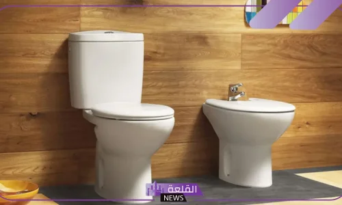 أهم 30 تفسير لرؤية المرحاض في المنام للعزباء لابن سيرين