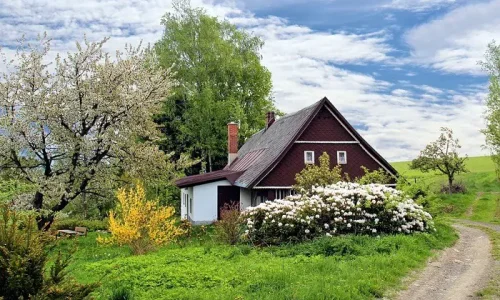 أهم 20 تفسير لرؤية المزرعة في المنام للعزباء لابن سيرين