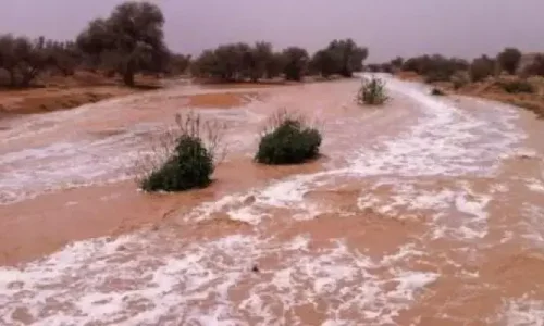 تعرف على أهم الدلالات المتعلقة بتفسير حلم السيل بدون مطر للمطلقة عند ابن سيرين