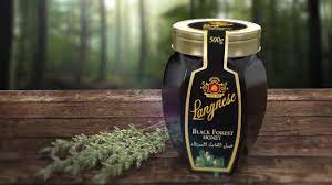 فوائد عسل الغابة السوداء للرجال وما هو مصدر عسل الغابة السوداء؟