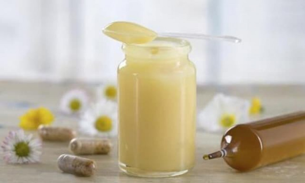 فوائد عسل المجرى الأبيض