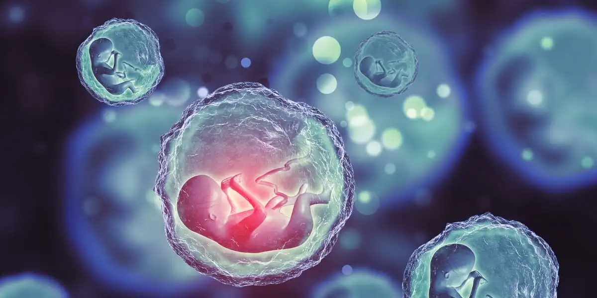 قصتي مع زيادة ماء الجنين