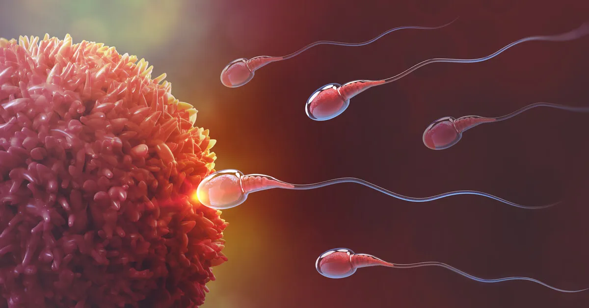 كيفية الإنجاب وما كيفية الحمل في توأم؟