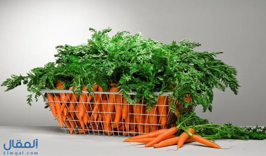 الجزر في المنام وتفسير حلم شرب عصير الجزر