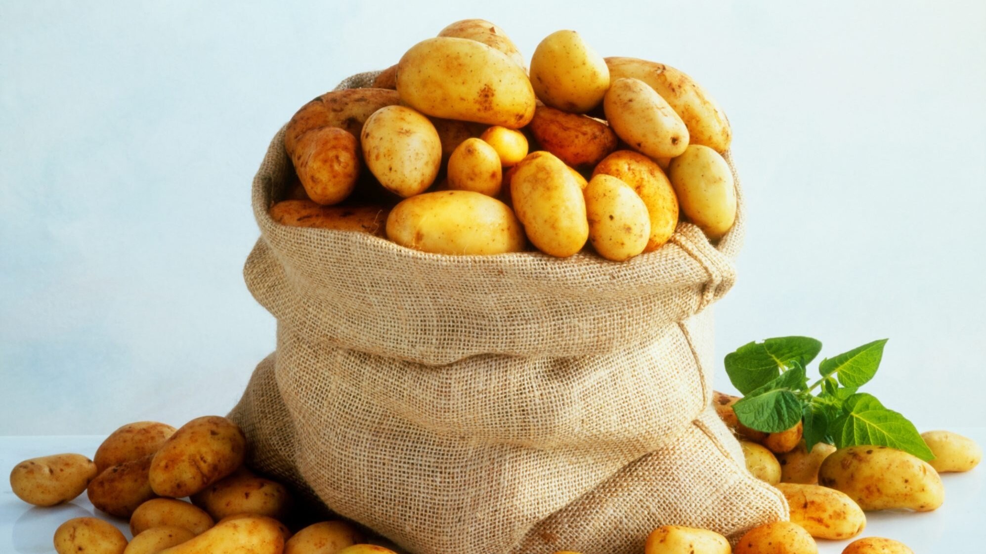  أهم 30 تفسير لأكل البطاطس في المنام لابن سيرين