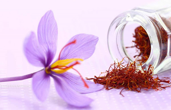 تفسير حلم الزعفران وما تفسير حلم شراء الزعفران؟